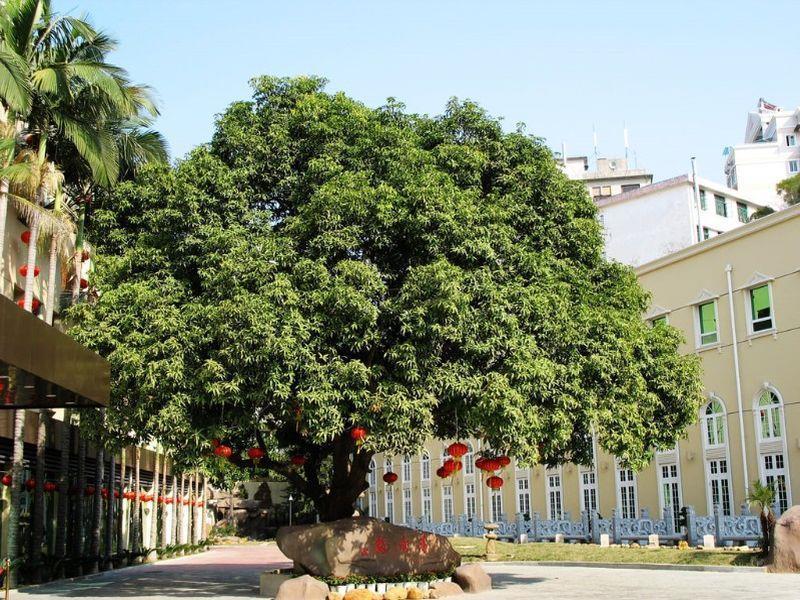 Hilford Hotel Xiamen Exterior photo